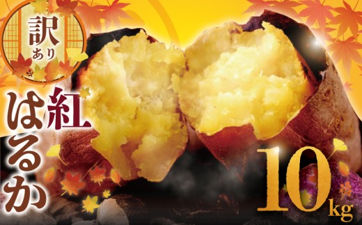 y_ސ쌧sz󂠂 ܂ g͂邩 10kg A L Tc}C F ܈ fU[g ׂɂ͂邩 XC[c È XC[g|eg sweet potato    C { H H̖