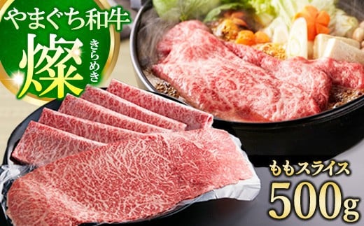 yRcz{z܂aW(߂) XCX500gicz{j