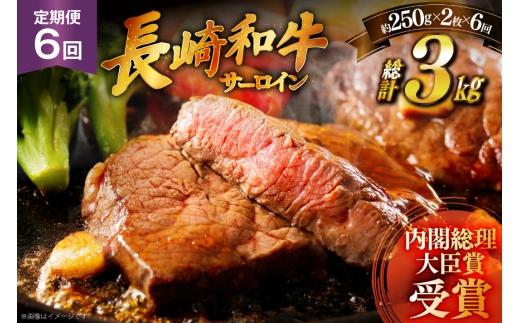 y茧ˎsza Xe[L a T[C 250g 2 \[Xt 6  v3kg [HY 茧 ˎs hr42bgy410032]   ē ɂ   SĂ