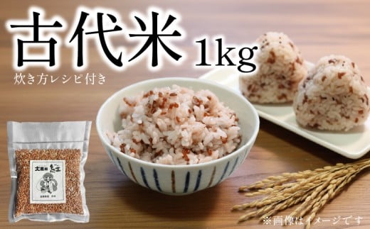 yꌧ쒬zߘa7NY Ñ 1kg 4 Zbg  Y  G ꌧ 쒬 _ƒ    Yn ӂ邳Ɣ[