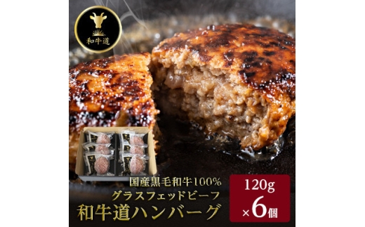 ykCzցano[O120g×6HZbg  јa OXtFbhr[tS12y4071617z