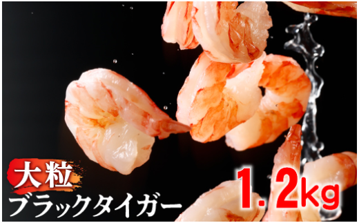 ykCoʎsz2 y󂠂z  ubN^CK[ Ⓚ ނ 1.2kg ς 2026N2 |  Gr CV `bNt sv ^ 2025 2026 oʎs