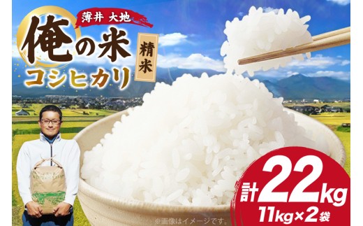 y쌧rczy̕āz ߘa7N RVqJ  11kg×2 v22kg [ n 쌧 rc 48110783]   ͂ Ђ  _ 