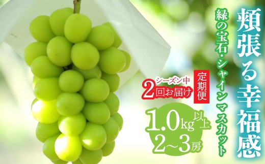 yRAvXsz2026Ns\񁄁yV[Y2񂨓͂ցzjK@` ΂̕΁EVC}XJbg `@1sȏ 2`3[ ALPCV010