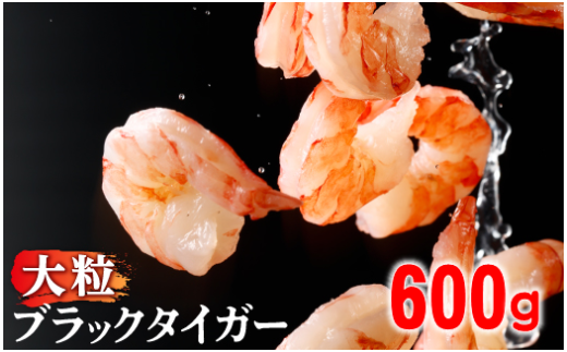 ykCoʎsz2 y󂠂z ubN^CK[ Ⓚ ނ 600gς 2026N2 |  Gr CV `bNt sv ^ 2025 2026 oʎs