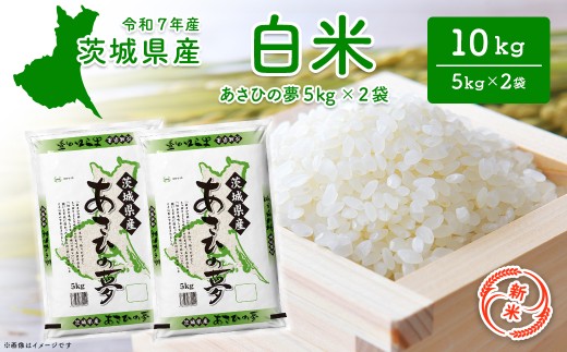 y錧zyV/āz錧Y Ђ̖10kg (5kg×2) ߘa7N12 V    2025NY ߘa7NY K2655