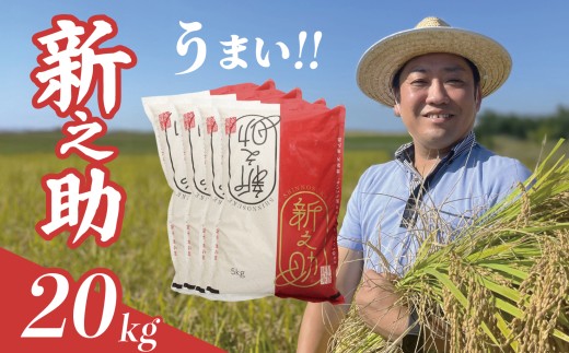 yVVcszyŒZ1TԔ!z ߘa7NY VV 20kg 5kg×4 V    ͂  V V  5kg 20kg VcY VY H H [   uh watas