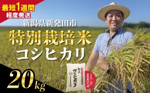 yVVcszyŒZ1TԔz  VY ʍ͔| RVqJ 20kg i5kg×4܁j ߘa7NY Ђ ͕  V      ͂  V V V