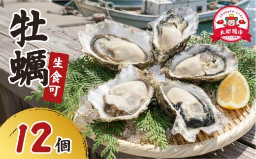 y茧DnszyʌzyOYz H Ⓚ y kty t y 1 ( 12 )  ʌ