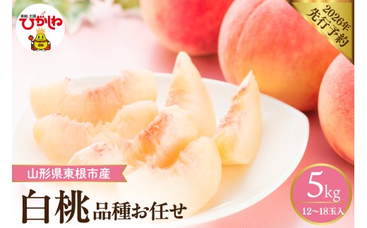 yR`szy2026NYs\z ̂ꂽĔ(i킨C)  5kg (12`18) R` s@hi026-056