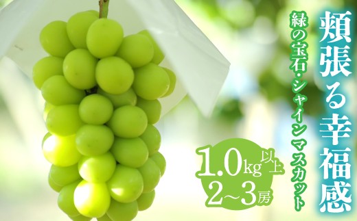 yRAvXsz2026Ns\񁄖jK@` ΂̕΁EVC}XJbg `@1.0sȏ 2`3[ ALPCV001