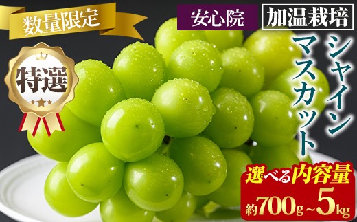 y啪FszIׂeʁIVC}XJbg ͔|(700gE5kg)VC}XJbg Ԃǂ  t[c ʕ  ʎs\tI2026N8{珇\