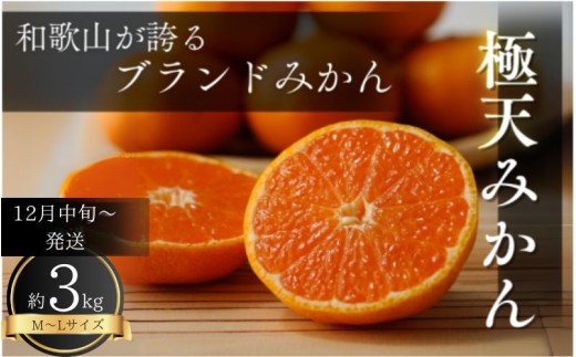 ya̎Rcӎszi`Iuh@_Ǝ́uɓV݂(؏n)v 3kg (MELTCY) 12{`\yԌEs\E12/21܂Łz  / cӎs B݂ ݂ ~J 