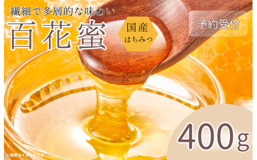 y錧zs\ttY݂͂@SԖ @400g ^ ݂͂ n`~c I nj[ Y {Y SԖ 400g Yn 錧  