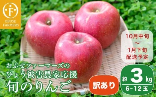 y쌧z{zy󂠂z  Ђ傤Q_Ɖ 3kg 6`12ʁmԂt@[}[Yn s KiO ƒp  ь S ʕ t[c ӂ  MB ʌ  y2025N10