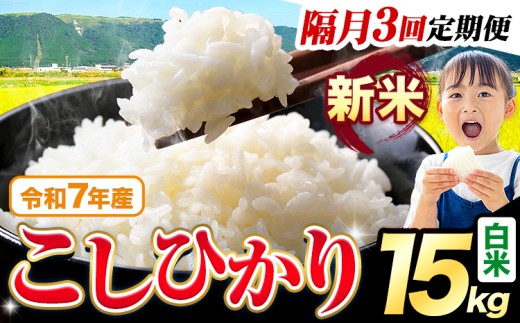 yF{kzyu3ցzߘa7NY V  Ђ 15kgs\݂̗oׁtF{Y ӂ邳Ɣ[   Ђ   ӂ邳Ƃ̂ RVqJ R  