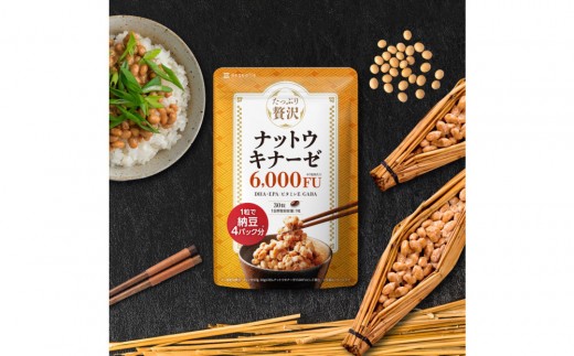 ymÉszibgELi[[ Tvg ՂґibgELi[[ 1