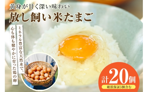 ym튊szĂ܂15+5ۏ؁iv20j