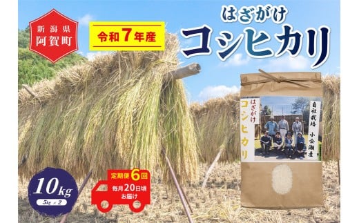 yV꒬zsߘa7NYātyցz6@z㉜Y͂iVjRVqJ@10kgi5kg×2܁j