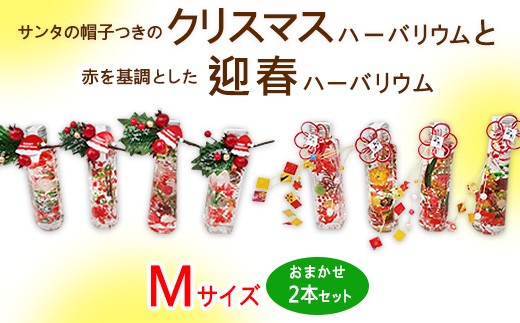 y򕌌szT^̖Xq̃NX}Xn[oEƐԂƂ}tn[oE@MTCY܂2{Zbg b CeA ւ̔zs 2025N12{`12{