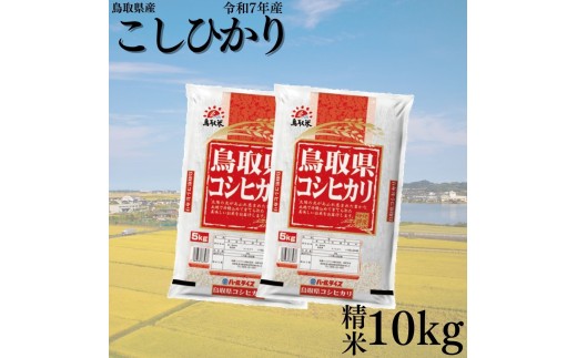 y挧lz384K.挧YЂ聞10kgߘa7NY