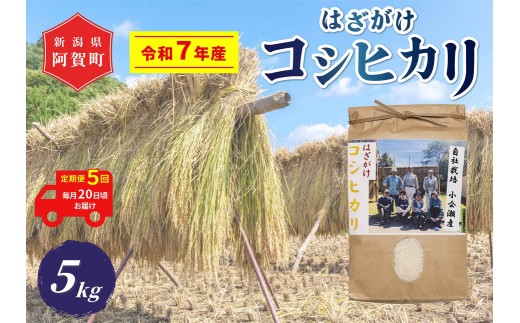 yV꒬zsߘa7NYātyցz5@z㉜Y͂iVjRVqJ@5kgi1܁j