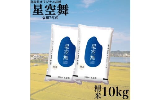 y挧lz381K.挧Y󕑁10kgߘa7NY