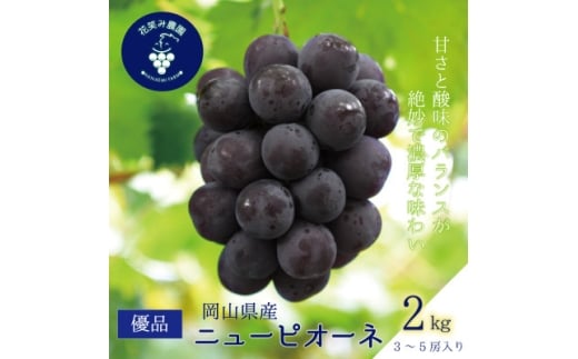 yRÎRsz2026NstR@ԏ΂ݔ_́wj[sI[lxDi@2kg(3`5[)@P-2D_Ԃǂ j[sI[l  uhE RY ʕ  t[c Mtg R 