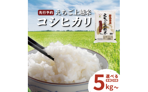 yVzszys\zߘa7N V VYRVqJ z  5kg 10kg 5L 10L  1 3 6 V  V Ђ  