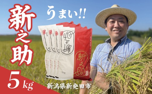 yVVcszyŒZ1TԔ!z ߘa7NY VV 5kg V    ͂  V V  5kg VcY VY H H [   uh watasho007_2025