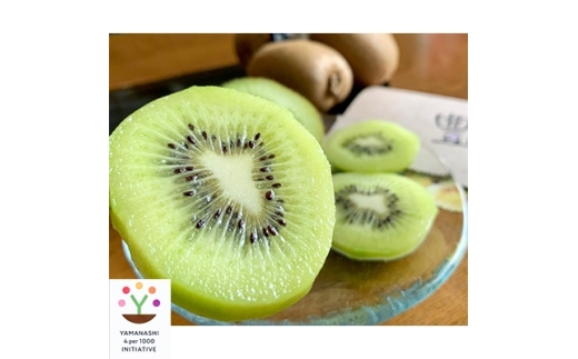 yRRszLECt[c(wC[h)2kgy1178154z