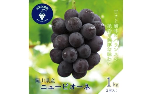 yRÎRsz2026NstR@ԏ΂ݔ_́wj[sI[lx1kg(2[)@P-1y1628315z