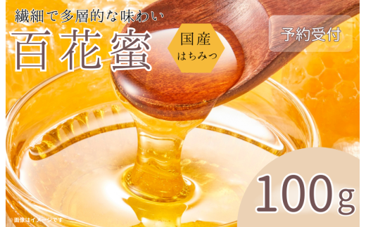 y錧zs\ttY݂͂@SԖ @100g ^ ݂͂ n`~c I nj[ Y {Y SԖ 100g Yn 錧  