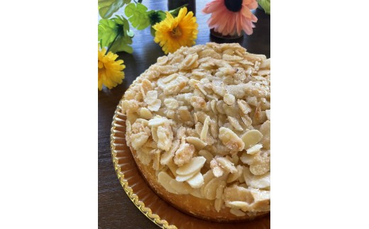 yɌSzub^@N[w ?  P[L XC[c Ăَq Ɍ S