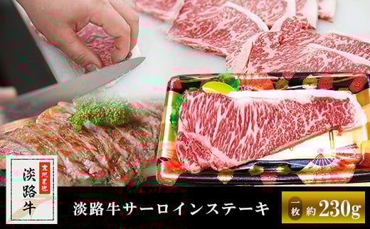 yɌ삠킶szWHT[CXe[L@1i230gj