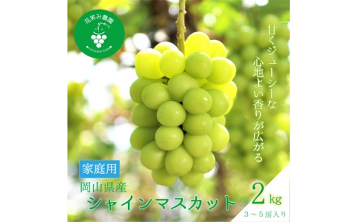 yRÎRsz2026NstR@ԏ΂ݔ_́wVC}XJbgxƒp@2kg(3`5[)@S-2Ɓy1626807z