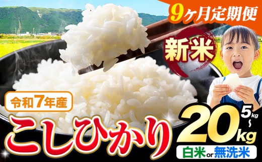 yF{kzy9ցzߘa7NY V  Iׂ Ђ 5kg 10kg 15kg 20kg  Iׂs\݂̗oׁtF{Y ӂ邳Ɣ[    Ђ  