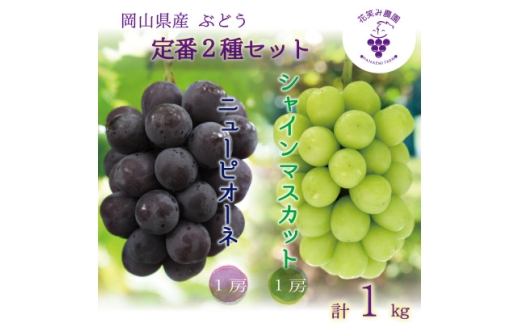 yRÎRsz2026NstR@ԏ΂ݔ_́wj[sI[l&VC}XJbgx1kg(2[)PS-1y1627783z