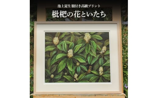 y쌧yzrĐ ztvg hf̉ԂƂh