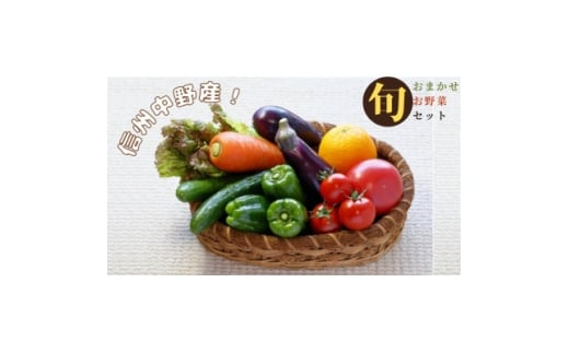 y쌧szMB {̐VN؃Zbg؋lߍ킹2kgȓy1644930z