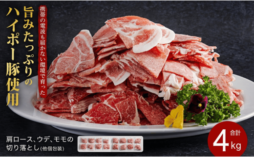 yRzؓ Y  ؂藎Ƃ 4kgZbg | gт̓dg͂Ȃň|݂Ղ̃nC|[    zs: