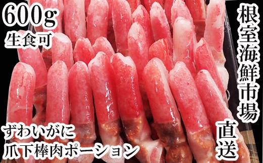 ykCszA-11221 y12/10܂ŔNzz Hp{YCKj܉_|[V600g