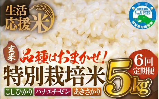 y䌧zOzyāz 6A͂  ߘa7NY ʍ͔|5kg × 6iv30kgj䌧zOYyāzy R kome 5L    ƒp _5z [e81-f001_