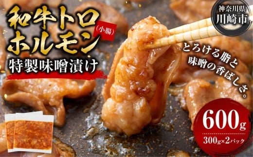 y_ސ쌧szAagz@XЂ@0.6kg(300g×2jy2026N8z