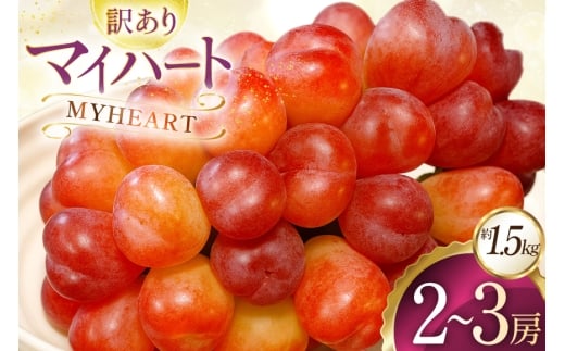 yR`zyԌ蔭z 󂠂 }Cn[g 2`3[ 1.5kg [Ƃ_ R`  tk06bcz270000] t[c ʕ  Ԃǂ uhE  1.5L Â ʎ fU[g }XJb