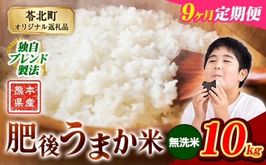 yF{kzy9ցz  F{Y イ܂ 10kg    R   uhās\̗o׊JntF{Y R  