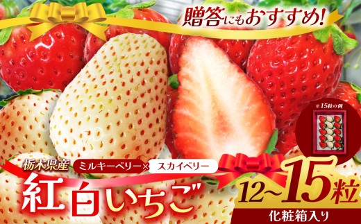 yȖ،szȖ،Y XJCx[ ~L[x[ | 12`15ϔ g 2025NxY 2026N12萏o Yn 嗱 ~ o   C`S Xgx[ 傫 W[V[ Â