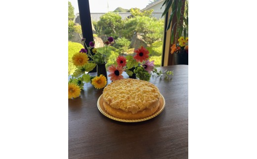 yɌSzVgC[N[w b XC[c P[L Ăَq hCc Ɍ S