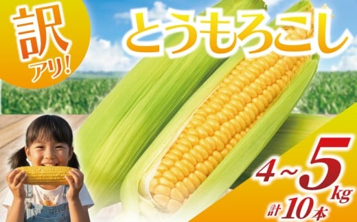 y_ސ쌧sz󂠂 Ƃ낱 v 10{  4 ` 5kg ܂ ̗d ~tB[ A L ̂ Ƃꂽ gERV s\ 2026N6 R[ VN W[V[ Â