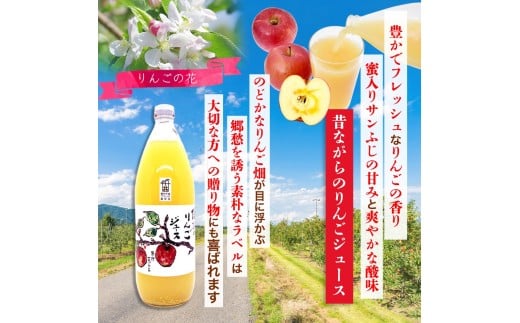 y쌧Ȏszy6ցzMB Tӂ  W[X 100 6{Zbgb S ь  Ȏs 쌧